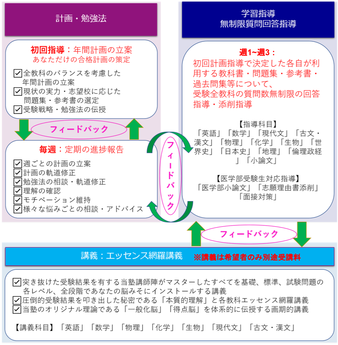 医学部受験個別指導と講義の全体像