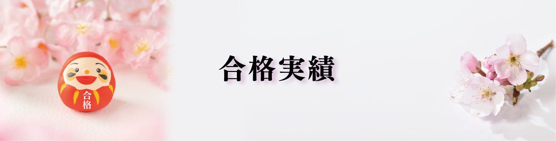医学部・難関大受験予備校,個別指導塾 東大理三講師30名超集団 (株)合格の天使【合格実績】