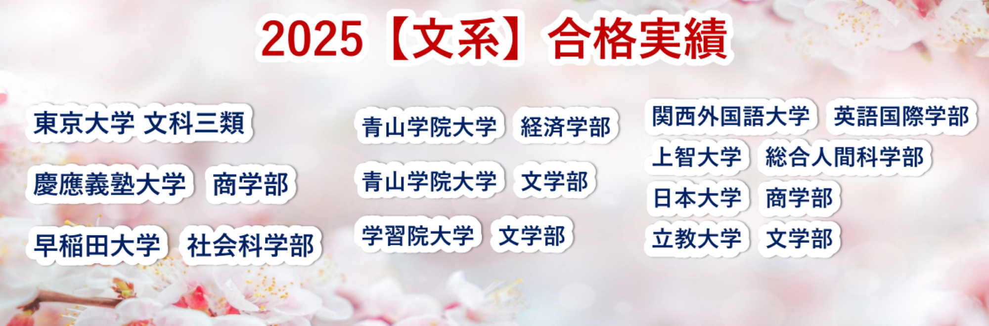 2025【難関大学文系】合格実績/