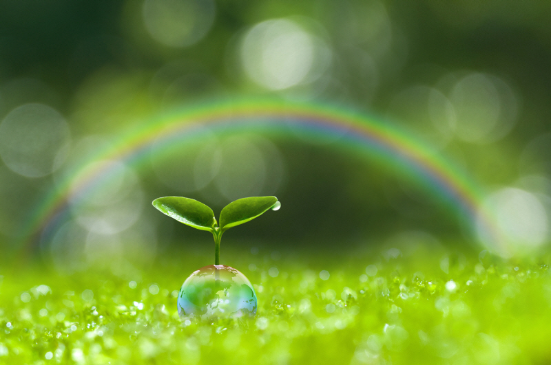 生物の勉強法イメージ