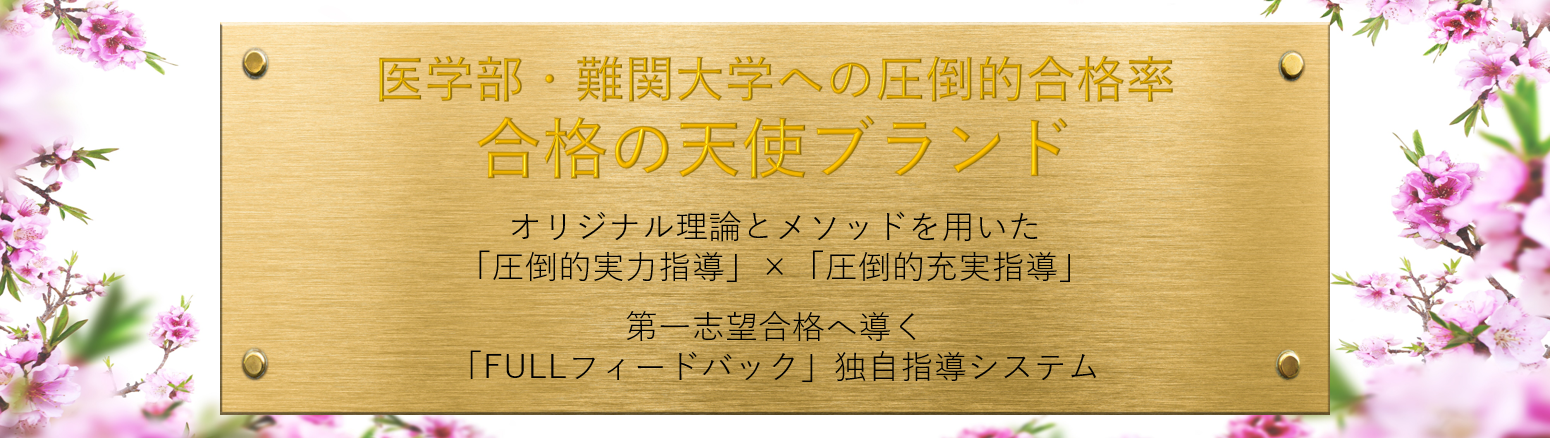 医学部へ驚異的合格率を誇るオリジナル理論・メソッドを用いた合格の天使のフルフィードバック個別指導