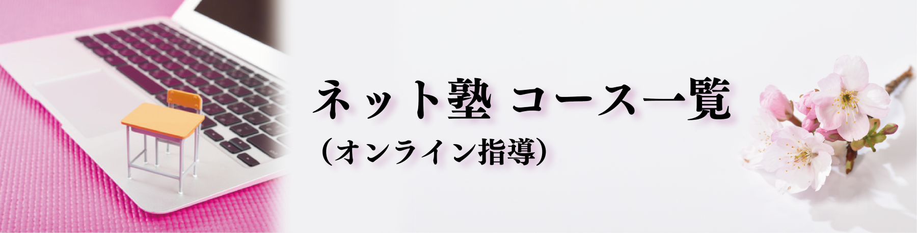 医学部 難関大受験予備校,個別指導塾｜東大理三講師30名超集団（株）合格の天使のオンライン個別指導