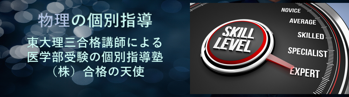 医学部受験の物理の個別指導なら東大医学部講師の個別指導塾（株）合格の天使