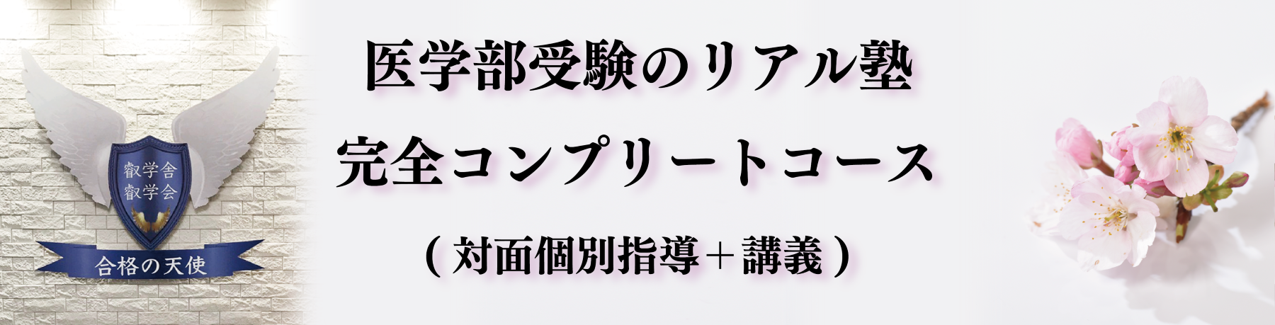医学部受験予備校なら（株）合格の天使｜東大理三合格講師の個別指導と講義で医学部合格へ導きます！