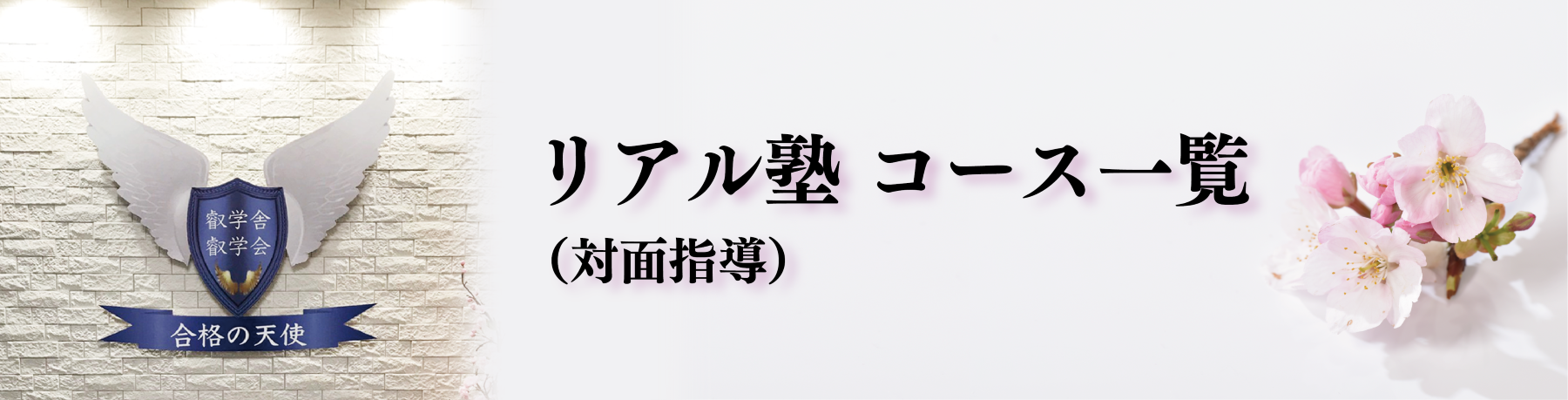 医学部 難関大受験予備校,個別指導塾｜東大理三講師30名超集団（株）合格の天使の個別指導