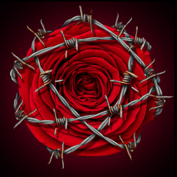 大学受験勉強法のタブーに触れる